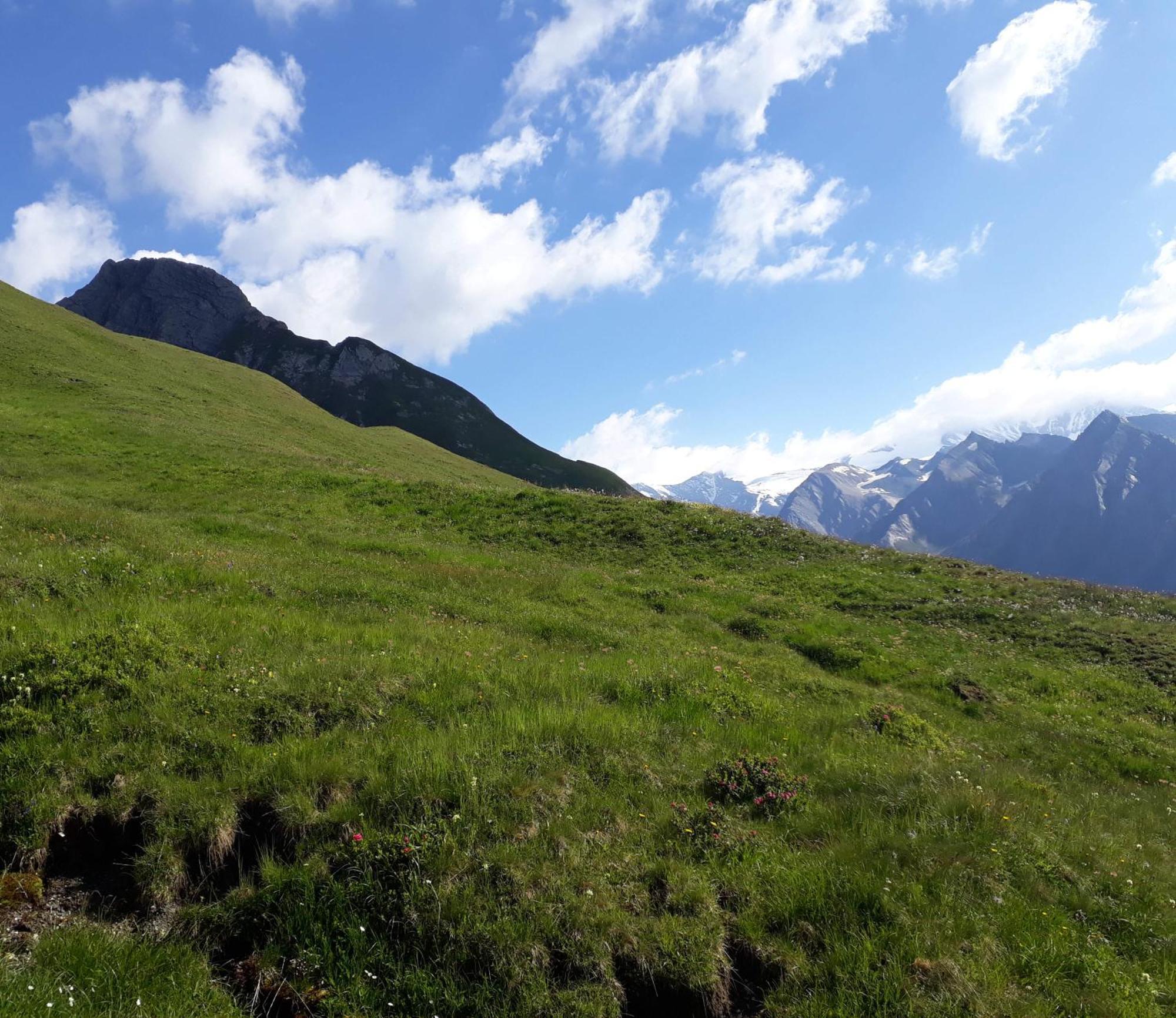 شقة Sonnenhof Kals-am Großglockner المظهر الخارجي الصورة